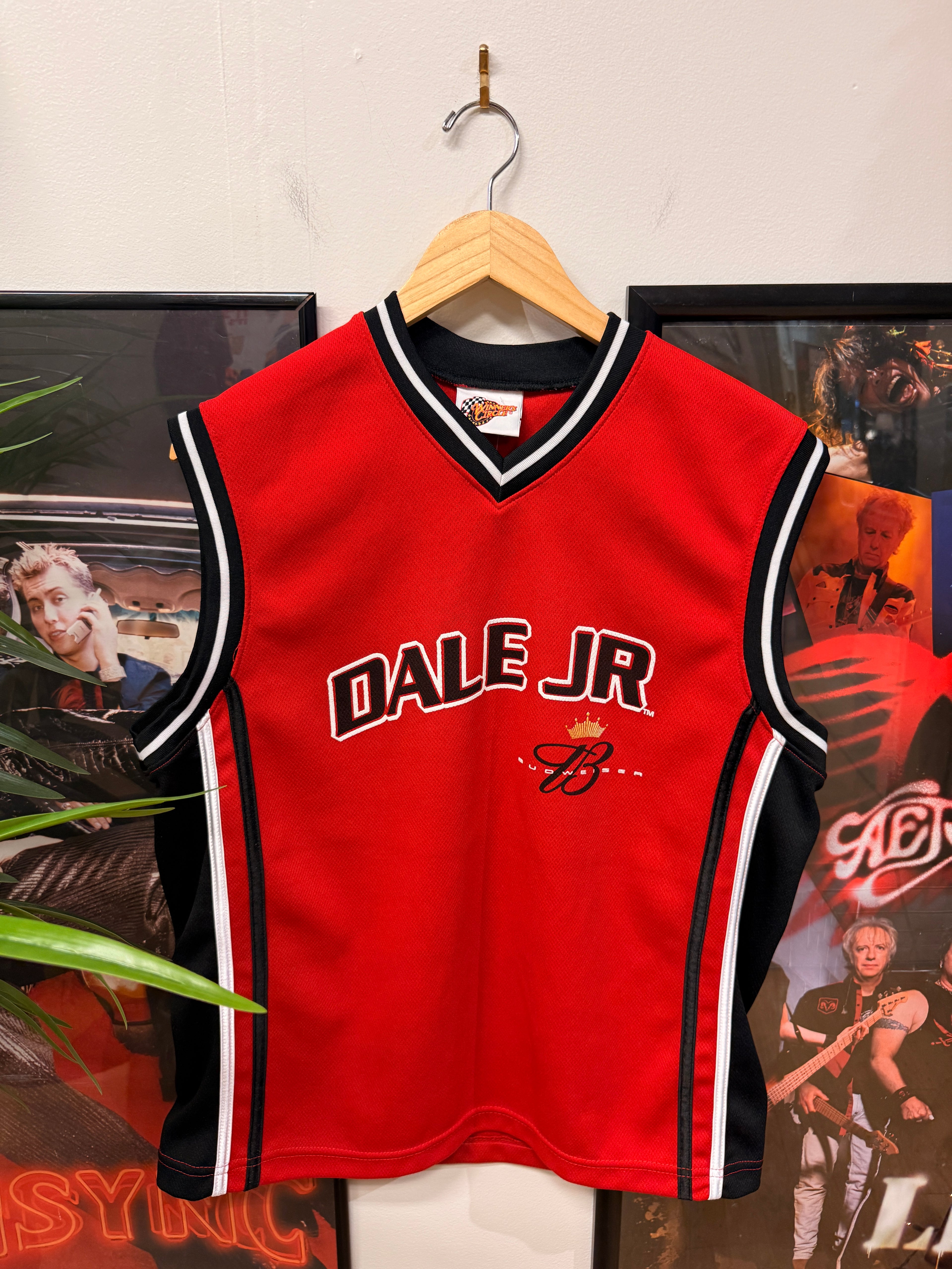 Dale Jr Jersey