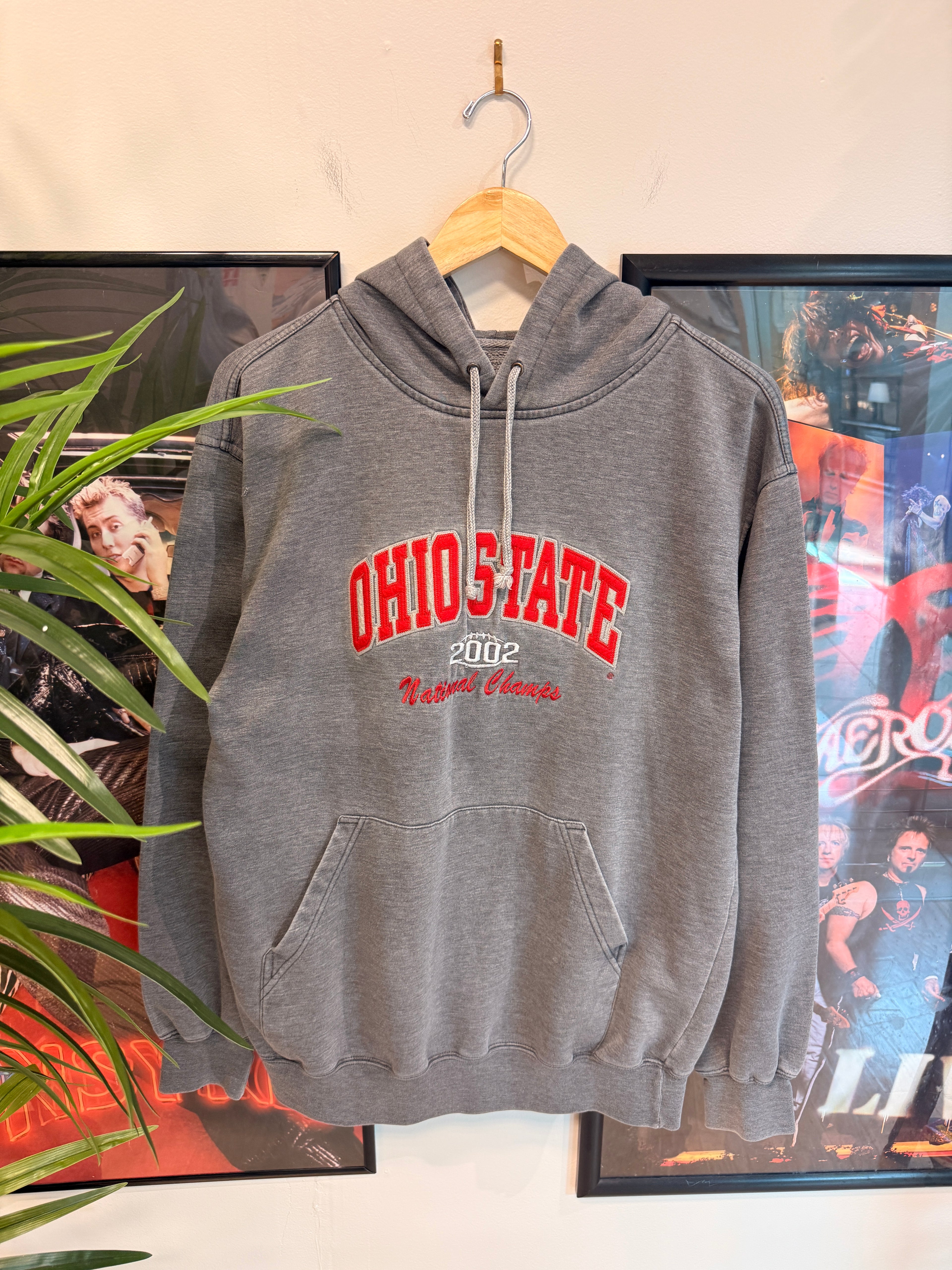Ohio State Hooded Sweatshirt