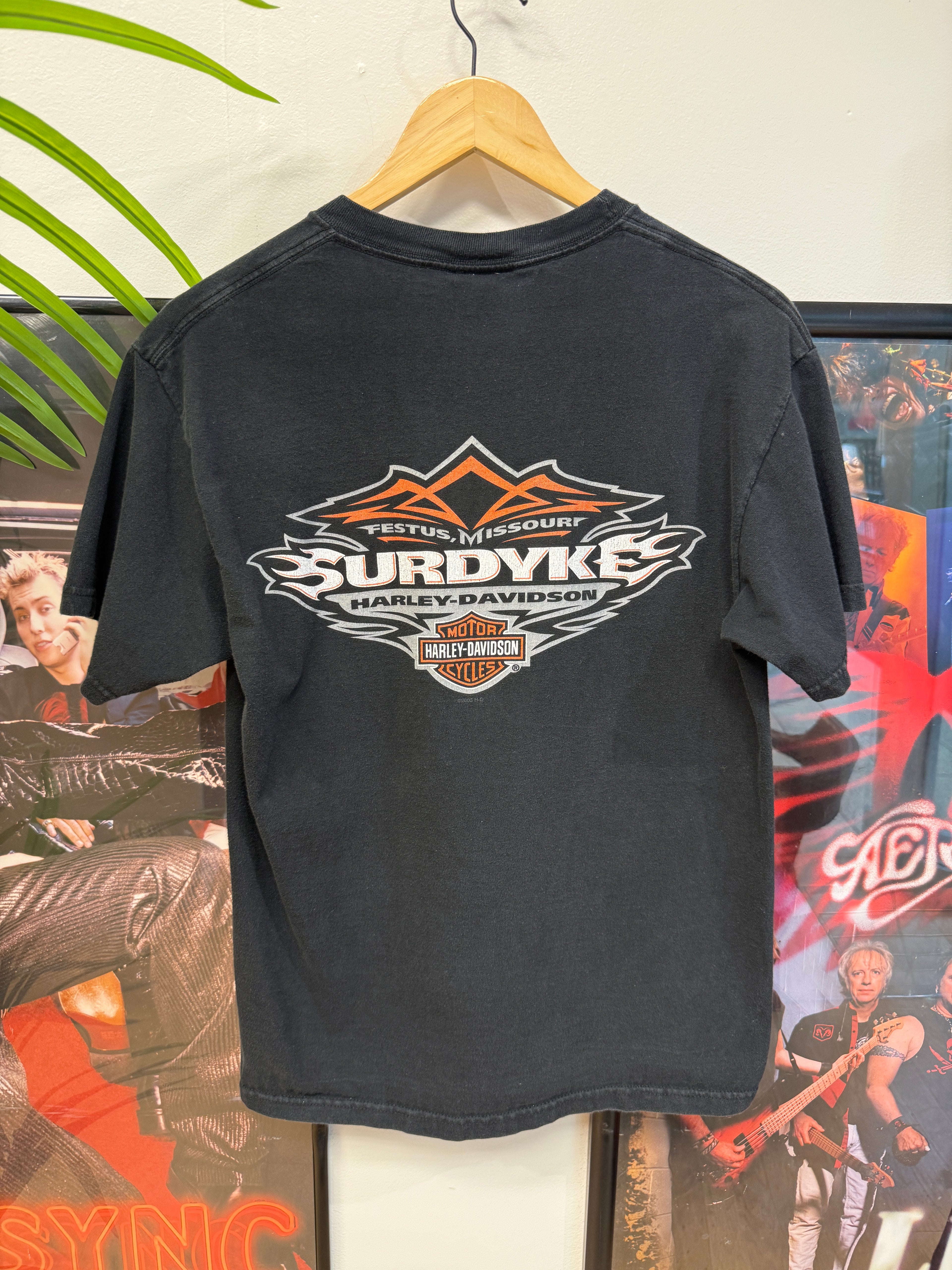Harley Davidson T-Shirt