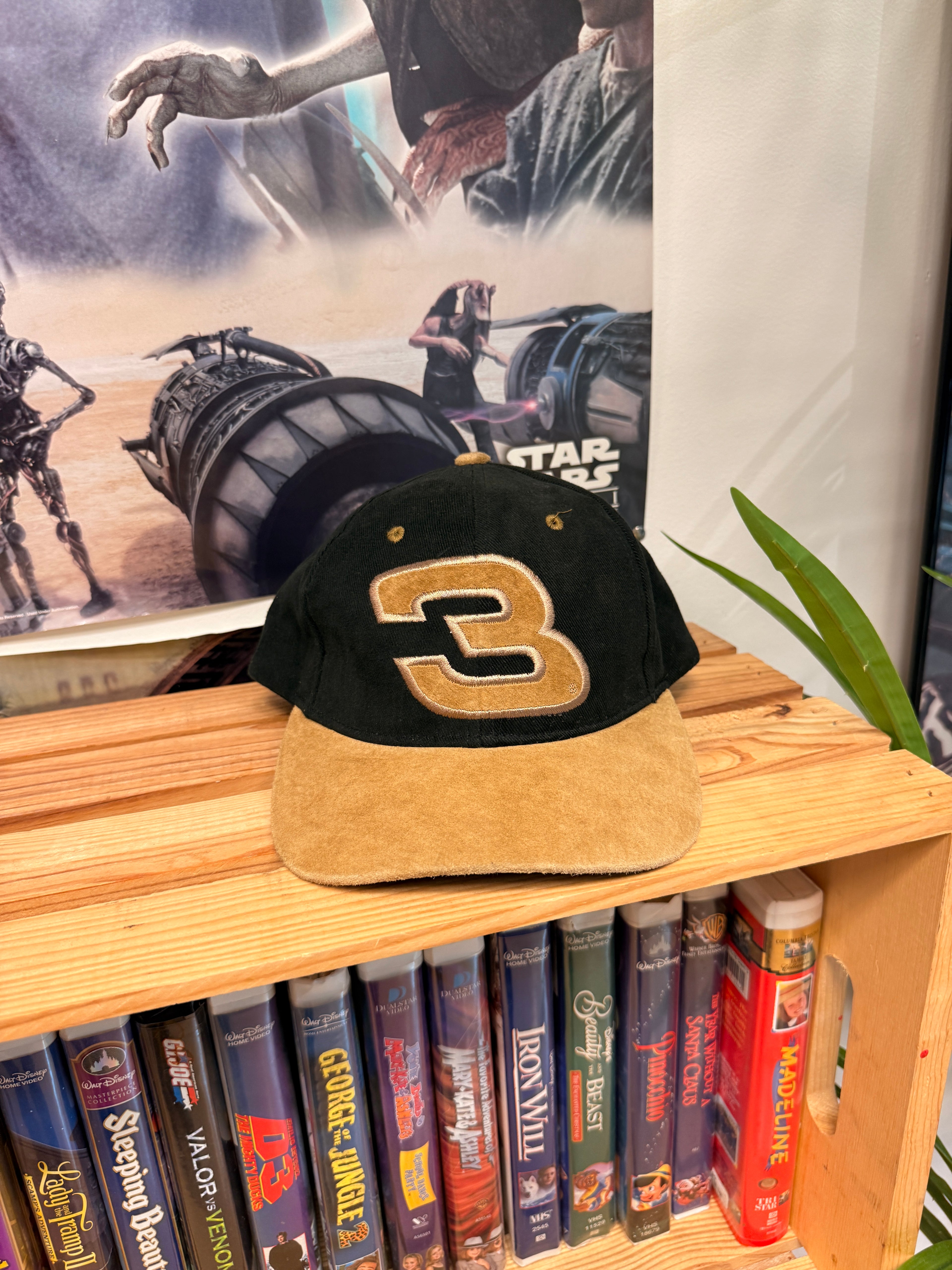 Dale Earnhardt NASCAR Hat