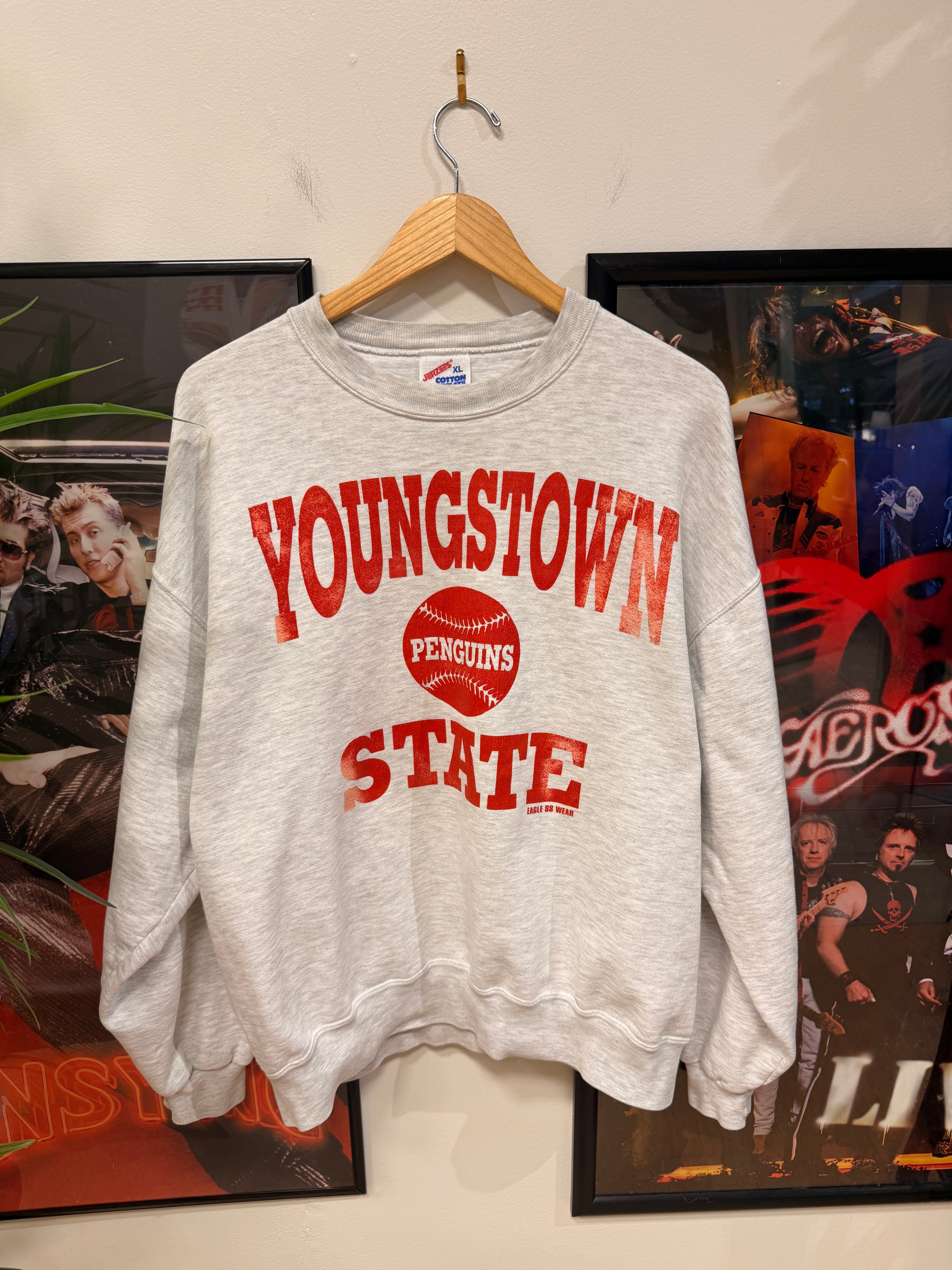 Youngstown State Crewneck Sweatshirt